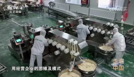 手工掛面生產迎來“智造”革命！海科佳如何用自動化生產線破解千年工藝難題？
